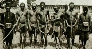 Para além do 13 de maio: 10 filmes que provocam o debate sobre reparação histórica no Brasil