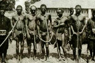 Para além do 13 de maio: 10 filmes que provocam o debate sobre reparação histórica no Brasil