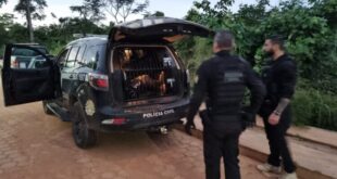 Polícia desarticula quadrilha responsável por roubos violentos e sequestros em Cruzeiro do Sul
