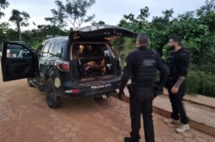 Polícia desarticula quadrilha responsável por roubos violentos e sequestros em Cruzeiro do Sul