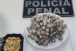 Tenta levar maconha para dentro do presídio e acaba em cana
