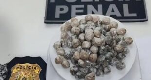 Tenta levar maconha para dentro do presídio e acaba em cana