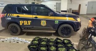 PRF apreende folhas de coca e cigarros contrabandeados após perseguição na BR-317
