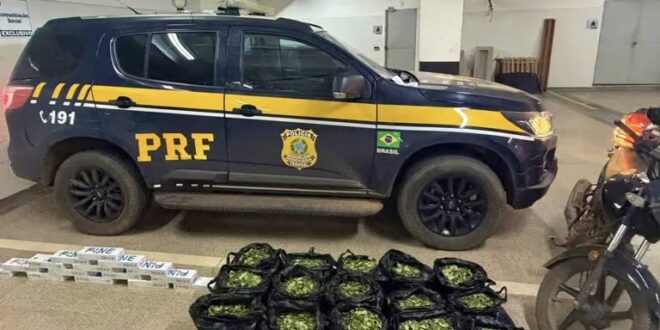 PRF apreende folhas de coca e cigarros contrabandeados após perseguição na BR-317