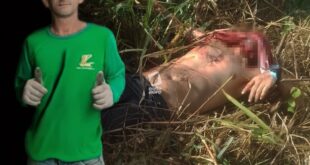 Acreano é encontrado degolado em Rondônia