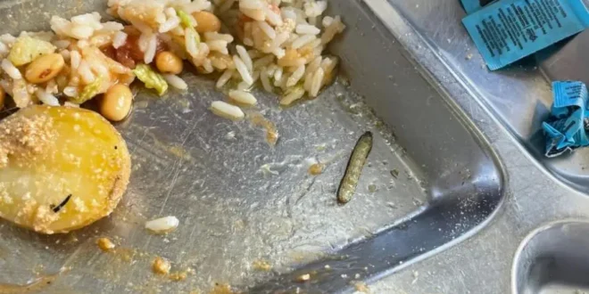 É extrema direita, estúpido: USP, Unicamp e Unesp vivem epidemia de baratas, ratos, vermes e comida podre nos refeitórios