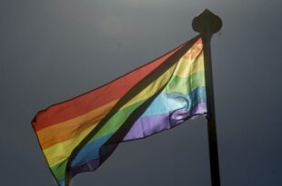Tokenização: O uso político de negros, gays e travestis pela extrema direita bolsonarista