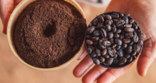 Cafeicultura acreana avança em produção, qualidade e reconhecimento nacional