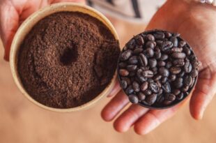 Cafeicultura acreana avança em produção, qualidade e reconhecimento nacional