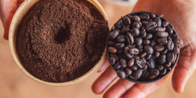 Cafeicultura acreana avança em produção, qualidade e reconhecimento nacional