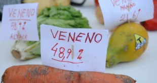 Mais veneno no seu prato: Bayer escolhe Brasil para estrear agrotóxico mais polêmico do mundo