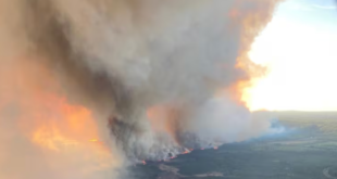 Efeito do El Niño: 2026 será particularmente severo de incêndios no mundo