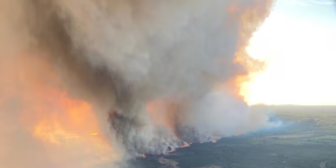 Efeito do El Niño: 2026 será particularmente severo de incêndios no mundo