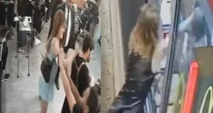 Facada por franja e tapa por cebola são vitórias do Brasil miliciano