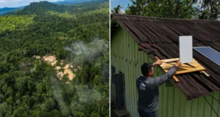 Quem conecta a Amazônia conecta o território
