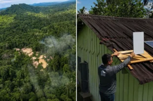 Quem conecta a Amazônia conecta o território