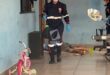 Homem é executado dentro de residência e suspeito acaba baleado pelo próprio comparsa