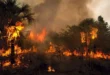 El Niño: chuvas, queimadas e altas temperaturas devem afetar o Brasil