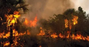 El Niño: chuvas, queimadas e altas temperaturas devem afetar o Brasil