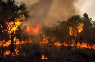 El Niño: chuvas, queimadas e altas temperaturas devem afetar o Brasil