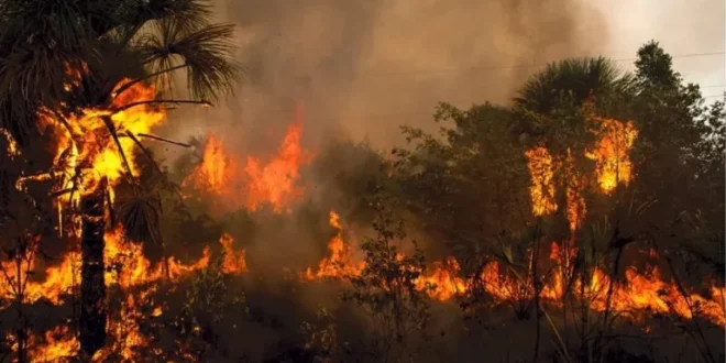El Niño: chuvas, queimadas e altas temperaturas devem afetar o Brasil