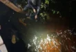 Herdeiro de grupo bilionário foi mandante de chacina em Lábrea, confessam pistoleiros
