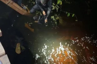 Herdeiro de grupo bilionário foi mandante de chacina em Lábrea, confessam pistoleiros
