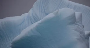 Aquecimento global: memórias de uma Antártica cada dia mais quente