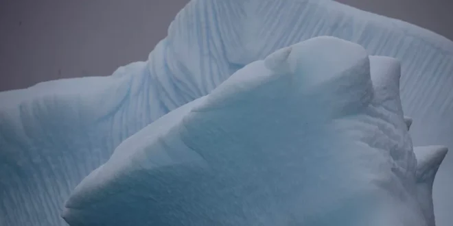 Aquecimento global: memórias de uma Antártica cada dia mais quente