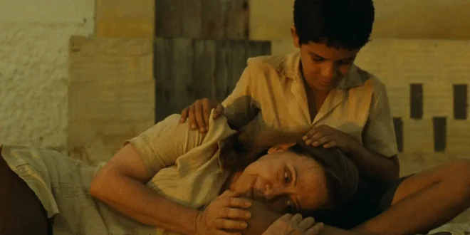 “Central do Brasil” é eleito melhor filme brasileiro e Walter Salles comemora: “Um presente”