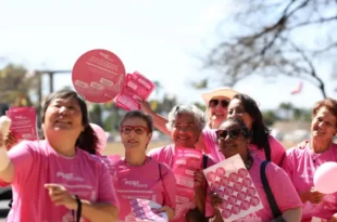 Anvisa aprova primeiro comprimido para câncer de mama avançado