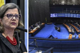 Lula anuncia Teresa Leitão como nova líder do governo no Senado