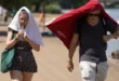 Reino Unido e Suíça têm novos recordes de calor, e Holanda emite alerta pela 1ª vez