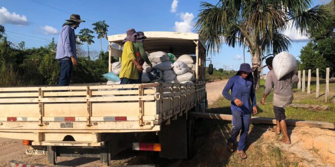 Governo do Acre fortalece cafeicultura do Juruá com transporte da produção para beneficiamento