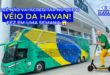 Véio da Havan: discurso do atraso e do preconceito num ambiente de ódio que ninguém aguenta mais