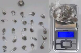 Maconha pronta para comercialização é apreendida dentro do presídio de Cruzeiro do Sul