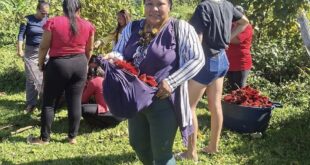 Liderança indígena do Acre recebe bolsa internacional para fortalecer educação, comunicação e memória do povo Shanenawa