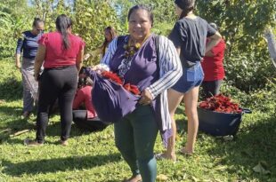 Liderança indígena do Acre recebe bolsa internacional para fortalecer educação, comunicação e memória do povo Shanenawa