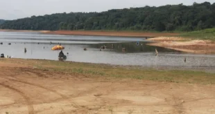 Catástrofe ambiental: mais de 40 rios do estado de São Paulo podem ficar sem água