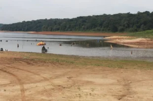 Catástrofe ambiental: mais de 40 rios do estado de São Paulo podem ficar sem água