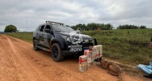 Corredor de drogas: BOPE apreende mais de 72 quilos de skunk no interior