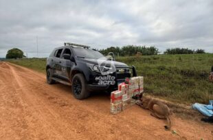 Corredor de drogas: BOPE apreende mais de 72 quilos de skunk no interior