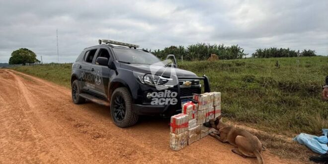 Corredor de drogas: BOPE apreende mais de 72 quilos de skunk no interior