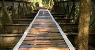 Nada escapa: ponte do século 19 é furtada em cidade de Minas