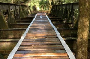 Nada escapa: ponte do século 19 é furtada em cidade de Minas