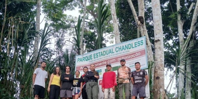 4 novas espécies de formigas são descobertas no Parque Estadual Chandless