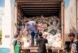 Entrada Solidária registra 84 mil ingressos trocados e arrecada cerca de 160 toneladas de alimentos em 12 horas
