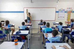 Formação cidadã: nova lei torna educação política obrigatória nas escolas
