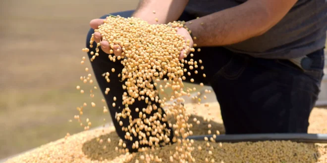 Tarifaço de Trump pode atingir 36,5% das exportações do agro brasileiro aos EUA