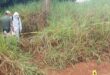 Corpo de homem com as mãos amarradas é encontrado em área rural na fronteira